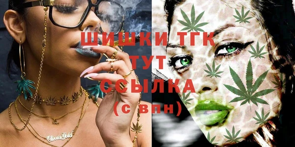 шишки Абдулино