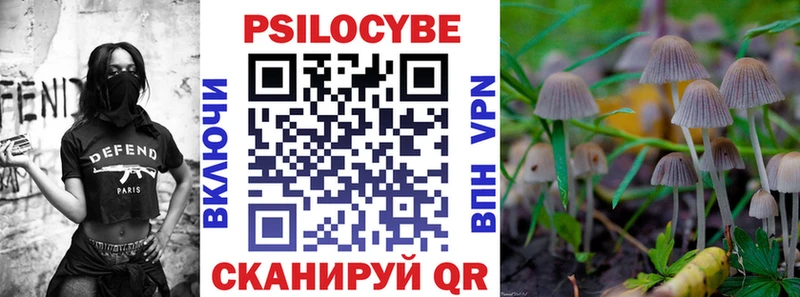 блэк спрут tor  Адыгейск  Псилоцибиновые грибы Magic Shrooms 